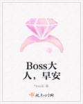 Bossˣ簲ȫĶ